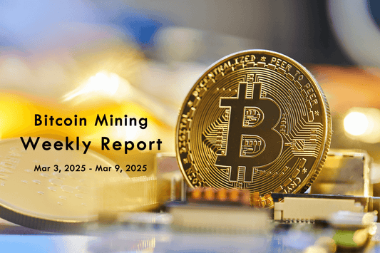Bitcoin Mining Weekly Report: HashWhale