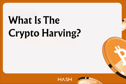 What is the Crypto Halving?