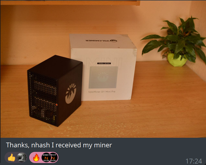 Volcminer D1 Mini 2.2Gh 500W Litecoin LTC Dogecoin DOGE Miner